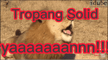 a picture of a lion with the words tropang solid written above it
