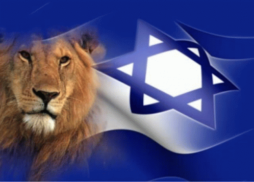 Israel GIF - Israel GIFs