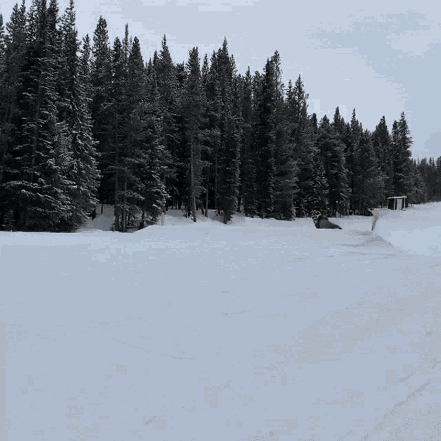 Copper Mountain Snow GIF - Copper Mountain Snow Winter GIFs