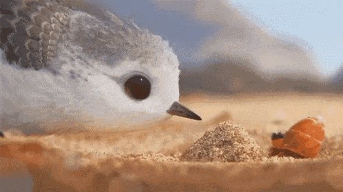 Boop Bird GIF - Boop Bird Animation GIFs