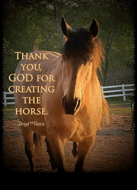 a picture of a horse with the words thank you god for creating the horse
