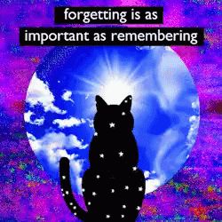 Forgetting Is As Important As Remembering Cat Silhouette GIF - Forgetting Is As Important As Remembering Cat Silhouette Psychedelic Art GIFs