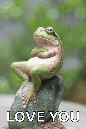 a frog is sitting on a rock with the words love you written below it
