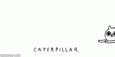 Caterpillar Funny GIF - Caterpillar Funny Cat GIFs
