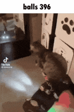 a tiktok video of a cat playing with a ball