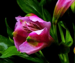 a pixelated image of a pink flower with green leaves