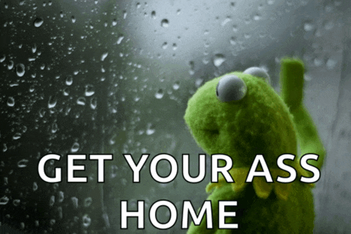kermit the frog is looking out a window with the words get your ass home