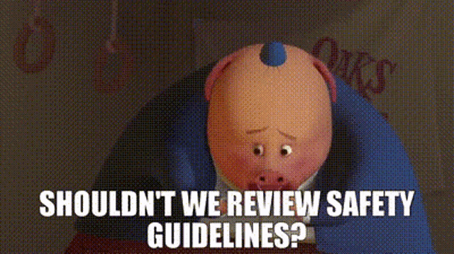 Chicken Little Shouldnt We Review Safety Guidelines GIF - Chicken Little Shouldnt We Review Safety Guidelines Safety Guidelines GIFs