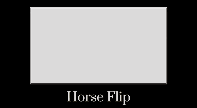 Horseflip GIF - Horseflip GIFs