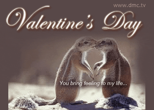 a valentine 's day card with two squirrels kissing in the sand