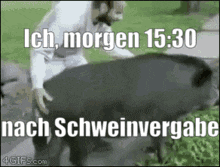 a man is standing next to a large black pig that says ich morgen 15:30