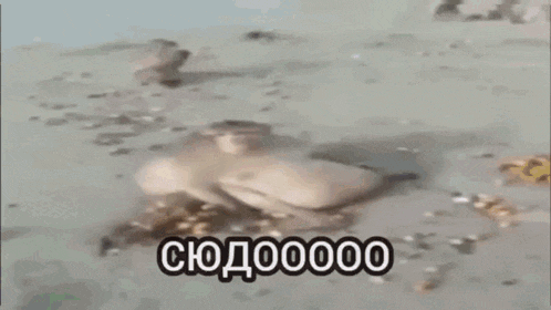 a monkey is swimming in a pool with a foreign language written on the bottom of the screen .
