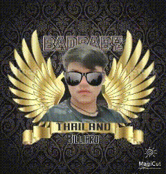 a young man wearing sunglasses and gold wings is featured on a thailand billiard logo .