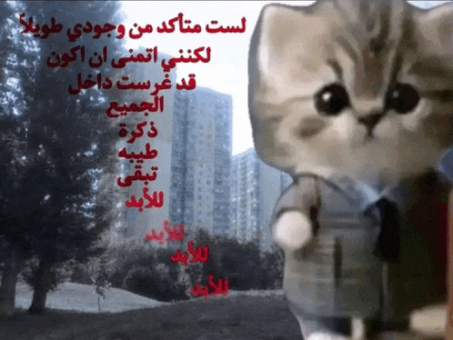 a cartoon cat with arabic writing on it