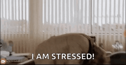 a man is laying on his stomach in a room with the words `` i am stressed '' written on the screen .