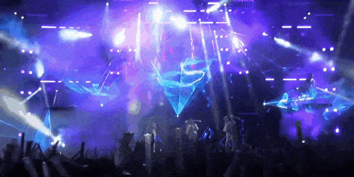 a crowd of people are watching a concert with purple lights