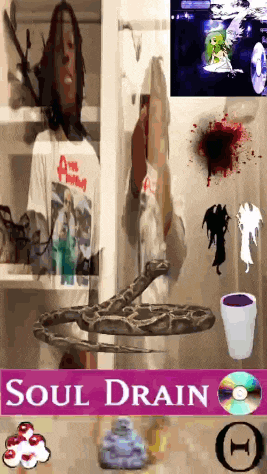 a poster that says soul drain with a snake and a cd