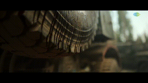 a close up of a person 's face with a fringe on it