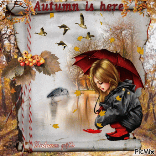 Fall Autumn GIF - Fall Autumn Outono GIFs