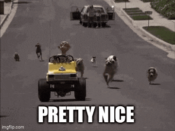 a group of dogs are running down a street while a man is driving a vehicle .