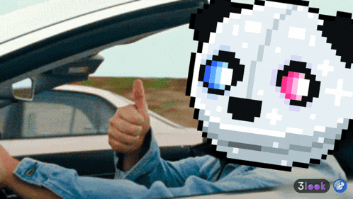 a person in a car with a pixelated panda on their head