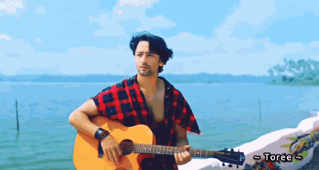 a man in a plaid shirt is playing a guitar in front of a lake