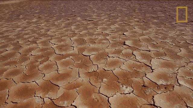 Parched Dry Land GIF - Parched Dry Land Drought GIFs
