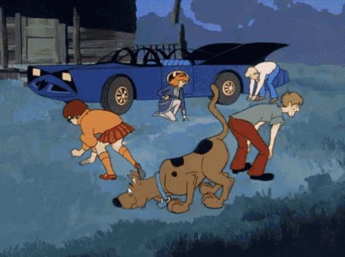 scooby doo and his friends are looking for clues in the grass
