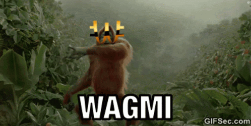 Wagmi Cryptocurrency GIF - Wagmi Cryptocurrency Meme GIFs