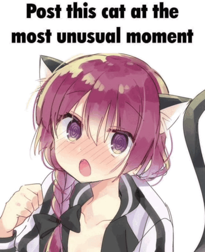 Post This Cat At The Most Unusual Moment Anime GIF - Post This Cat At The Most Unusual Moment Cat Anime GIFs