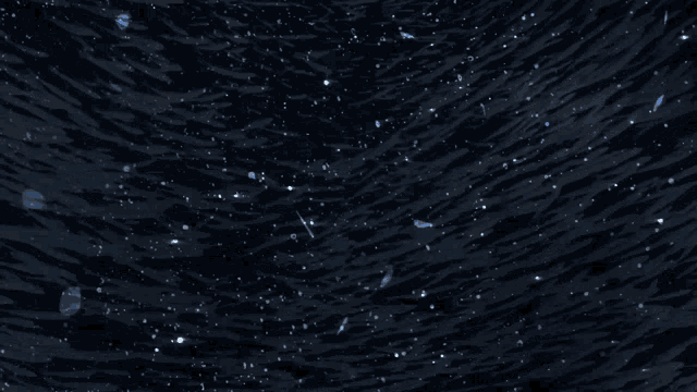 a couple of people are swimming underwater in a dark room
