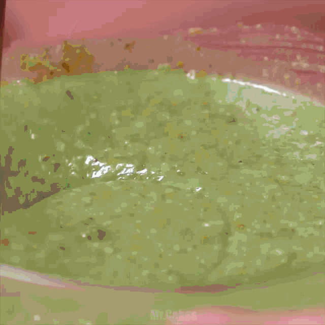 a bowl of green liquid with a spoon in it and the words mr.cakes below