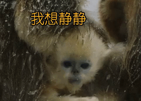 我想静静 GIF - Leave Me Alone Be Quiet Monkey GIFs