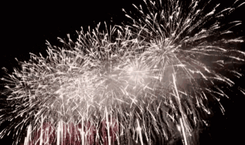 a bunch of fireworks are going off in the sky