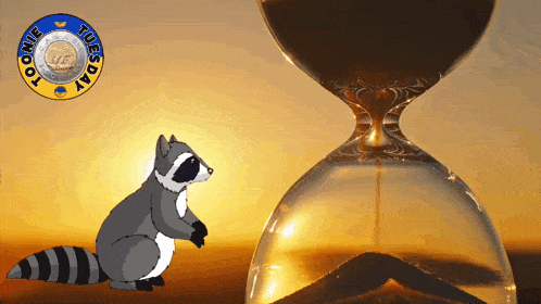 a raccoon sits in front of an hourglass that says tuesday on the bottom