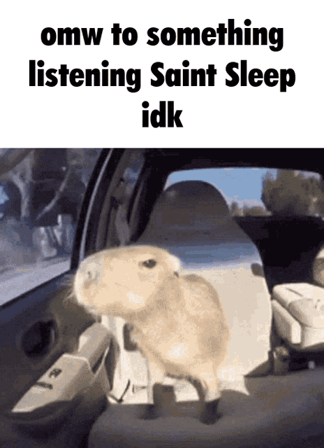 Saint Sleep Listening GIF - Saint Sleep Listening Music GIFs