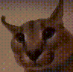 a close up of a cat 's face with a blurred background and a necklace around its neck .