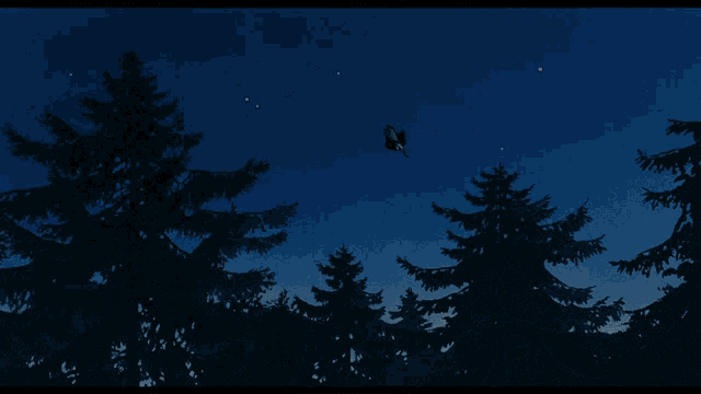 a silhouette of a person flying through a dark forest at night