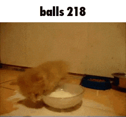 a cat drinking milk from a bowl with the number 218 above it