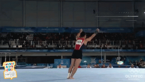 Gymnastic Acrobatic GIF - Gymnastic Acrobatic Athletic GIFs
