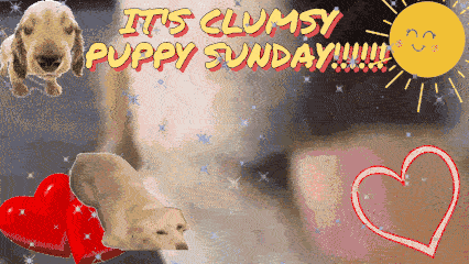 Clumsy Puppy Sunday GIF - Clumsy Puppy Sunday Puppy GIFs