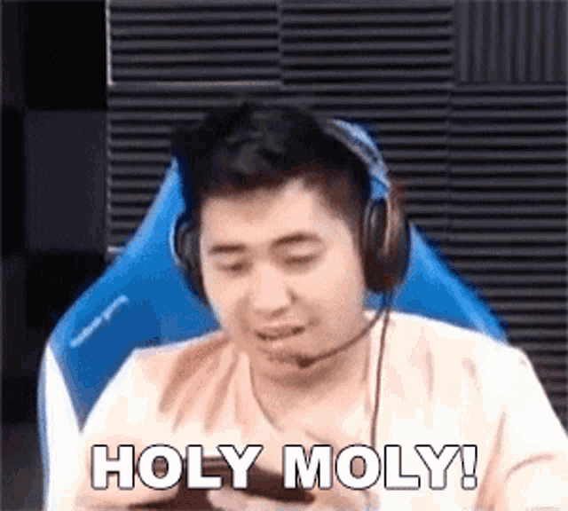 Holy Moly Z4pnu Gaming GIF - Holy Moly Z4pnu Gaming Grabe GIFs