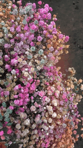 a bunch of different colored flowers are laying on a table