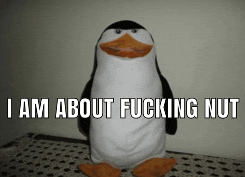 a stuffed penguin with the words i am about fucking nut above it