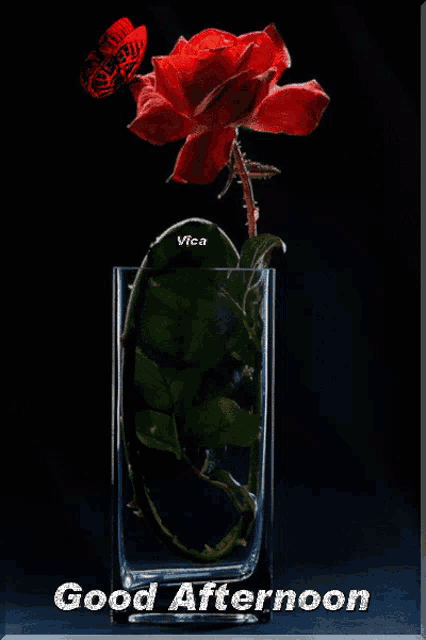 a picture of a rose in a vase with the words good afternoon