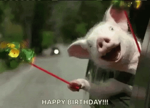 Happy Birthday Happy Pig GIF - Happy Birthday Happy Pig Pinwheel GIFs