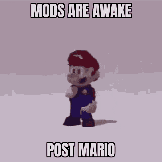 Mods Are Awake Post Mario GIF - Mods Are Awake Post Mario Leolaus GIFs