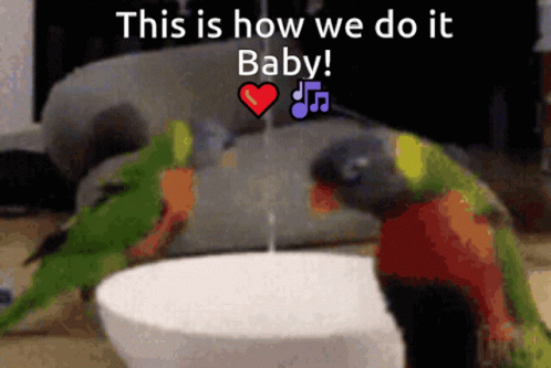 This Is How We Do It Baby GIF - This Is How We Do It Baby Love Song GIFs