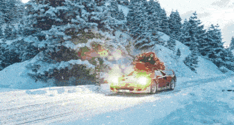 a car with a christmas tree on the back is driving down a snowy road