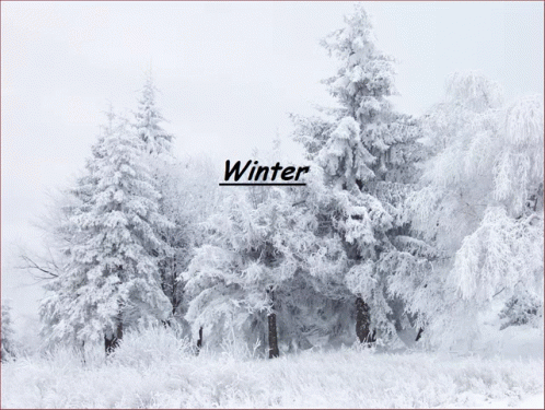Winter Winter Giveaways GIF - Winter Winter Giveaways GIFs